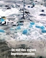 LE CROSS la télé réalité de W9 : PREMIERES IMAGES