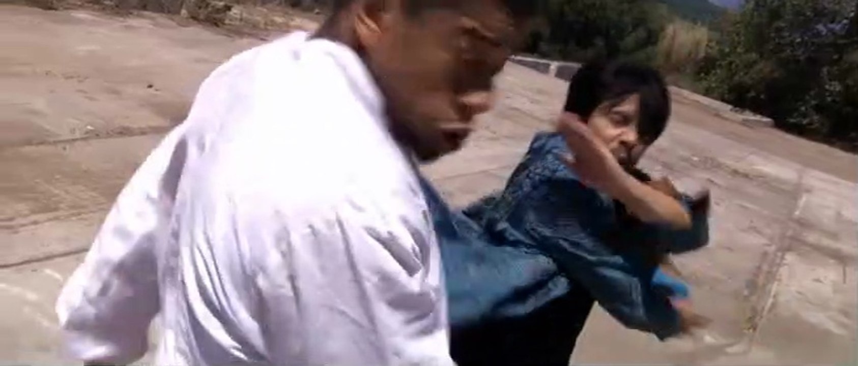 Kung Fu Jungle