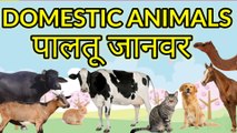 Learn Domestic Animal Names || Farm Animals for Kids in English and Hindi || ????? ??????? ?? ???  K