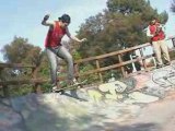 Bananas Flip Skateshop - Backside Flip to Tail  (16/03/08)