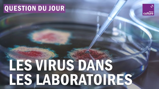 Frankenvirus : faut-il mieux encadrer certaines manipulations en laboratoire ?