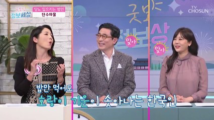 내장지방과 당뇨를 일으키는 주요 원인은 ‘탄수화물’ TV CHOSUN 221109 방송