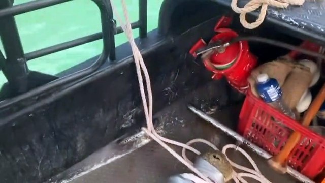 Four saltwater crocodiles removed from Darwin waterways