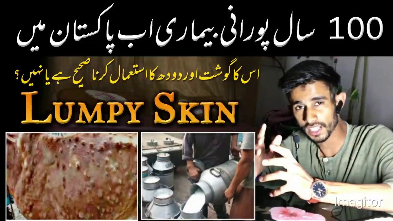 lumpy_skin_disease_in_cattle_|_Janwar_main_bimari_|_Dhoodh_aur_Ghosht_khana_kesa?_|_lumpy_skin_virus(1080p)