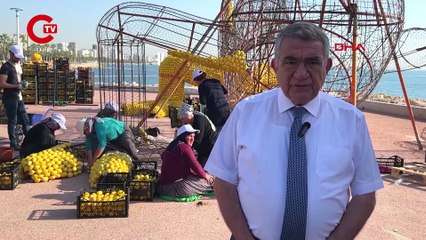 Mersin Narenciye Festivali hazırlıkları sürüyor