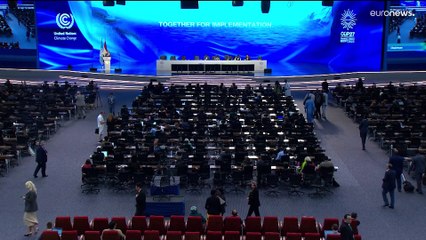 ООН выступает против "зелёного пиара"