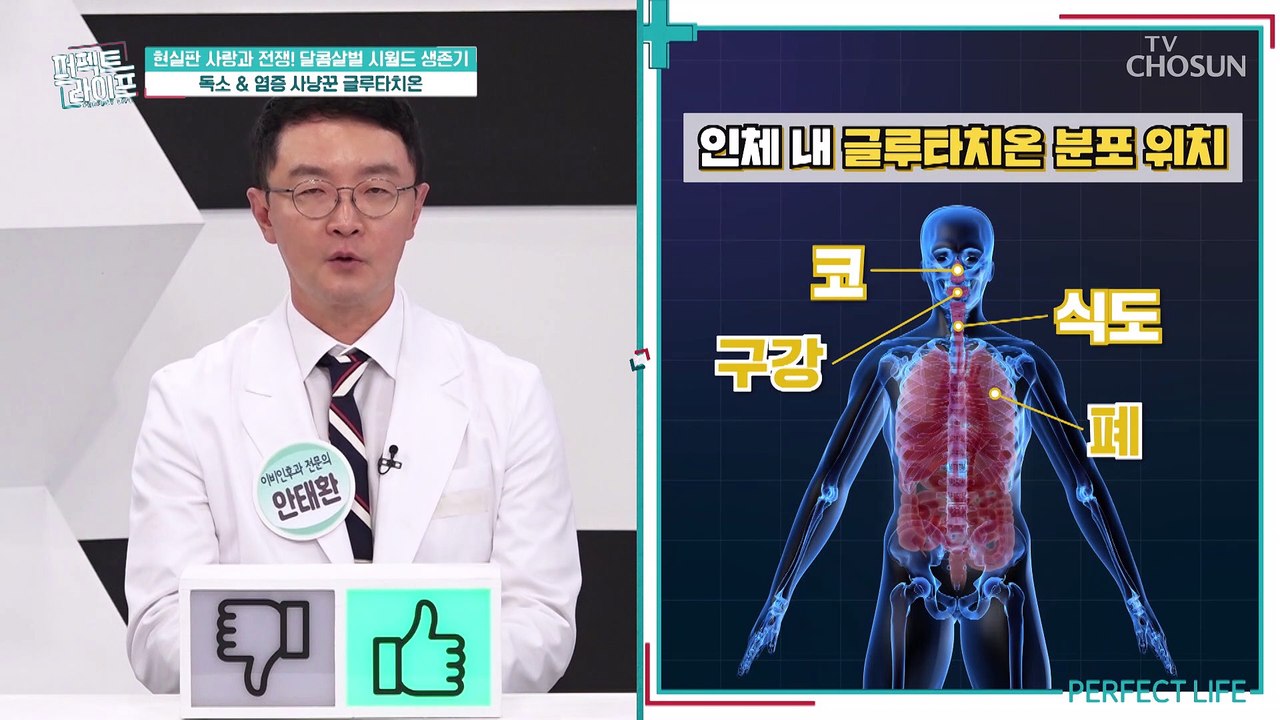 체내 글루타치온이 부족하면 쌓이는 염증이 질병을 부른다 TV CHOSUN 20221109 방송