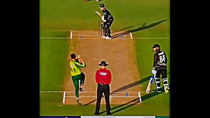 Pakistan vs Newziland Circket World Cup match