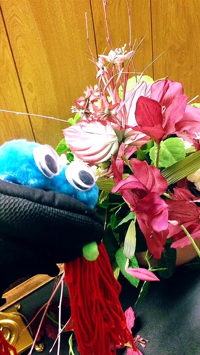 Nonsense Ned | Part 56: Eating Flowers & Poisonous Plants