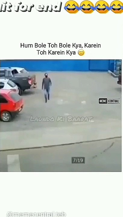 Dog with man