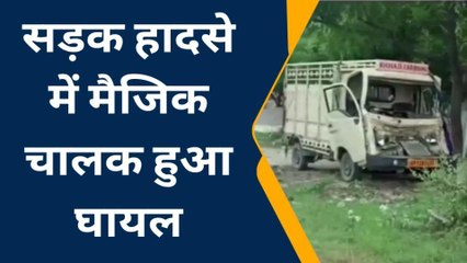 प्रतापगढ़: पेड़ से टकराकर चकनाचूर हुई मैजिक, चालक का हाल बेहाल