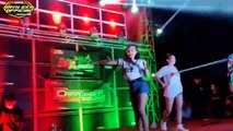 dj viral enak buat goyang-full party bass beton!!