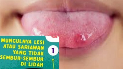 Apa saja yang harus dibawa? Saat liburan bersama hewan peliharaan