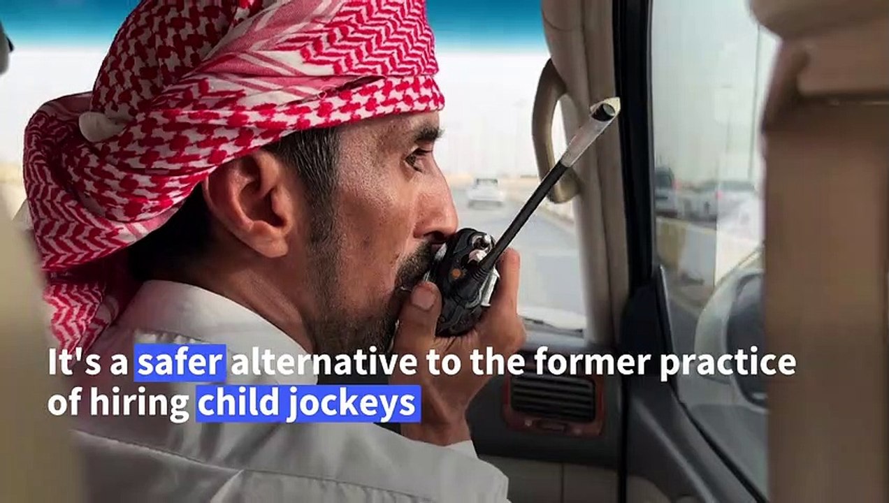 Qatari camel robo-jockeys hope to attract World Cup crowd