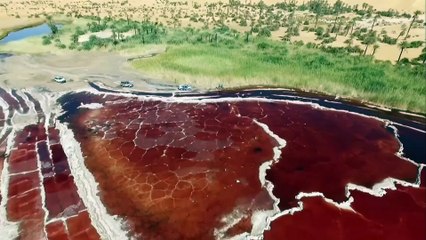 France 24 Weather - 11 Nov. 2022 - Arabic version