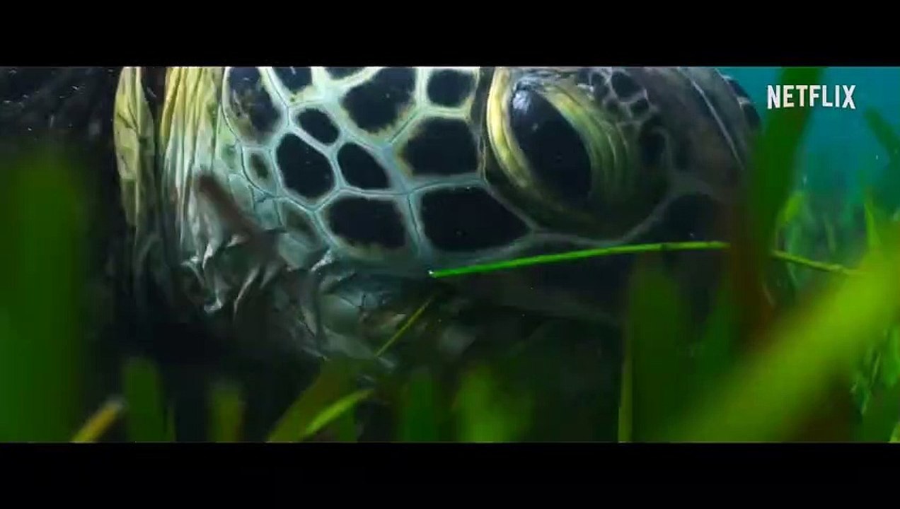 Das Universum Trailer OV