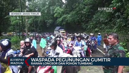 Waspada Pegunungan Gumitir Rawan Longsor Dan Pohon Tumbang