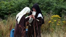 A Glimpse into the Life of Traditional Carmelites