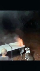 #pet petsof #catsoftiktok #dogsof dog #cat #funny #cutemoment #interesting #fyp #foryou