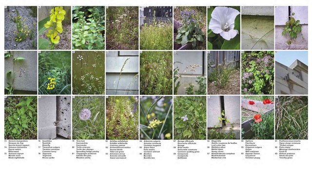 FAIRE CLUB 2022 - Architecture et biodiversité, ChartierDalix