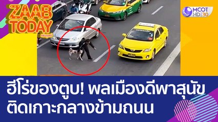 ฮีโร่ของตูบ! พลเมืองดีพา 'สุนัขติดเกาะกลาง' ข้ามถนน ทุกชีวิตสำคัญ (9 พ.ย. 65) แซ่บทูเดย์