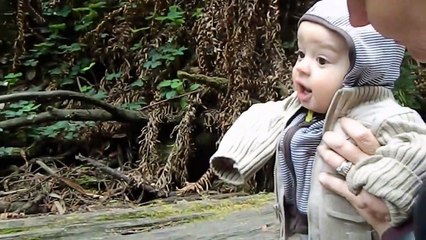 Logan Xavier (2013-03-25) Redwood Forest