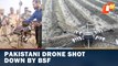 Pakistani Drone Shot Down By BSF On Indo-Pak Border In Firozpur, Punjab