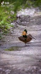 High level editing #funny