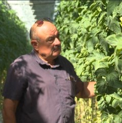 Ces agriculteurs s’adaptent à la sécheresse