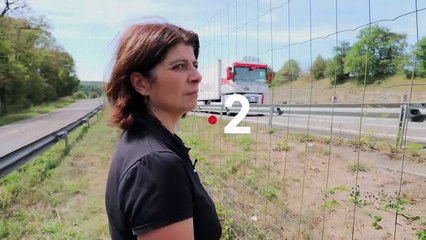 Envoyé spécial - 10 novembre