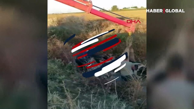 Dere yatağına düşen inek, vinçle kurtarıldı... O anlar kamerada