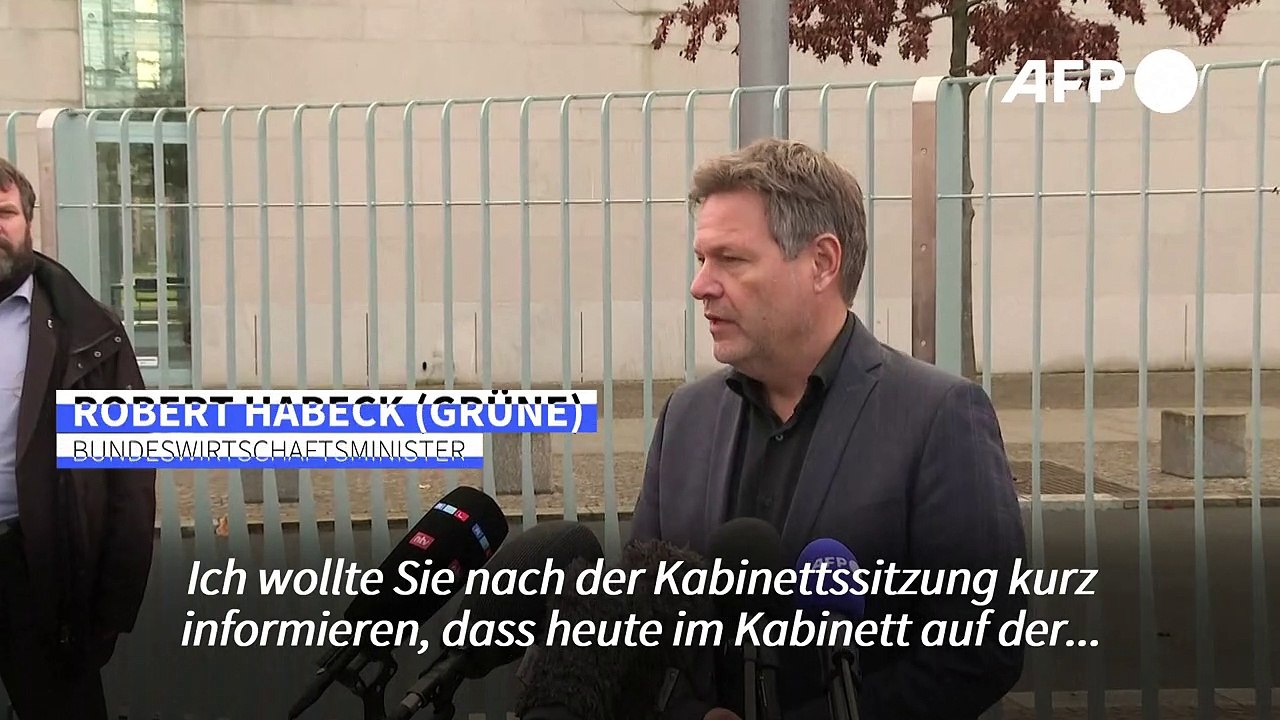 Regierung untersagt Firmenübernahmen durch Chinesen