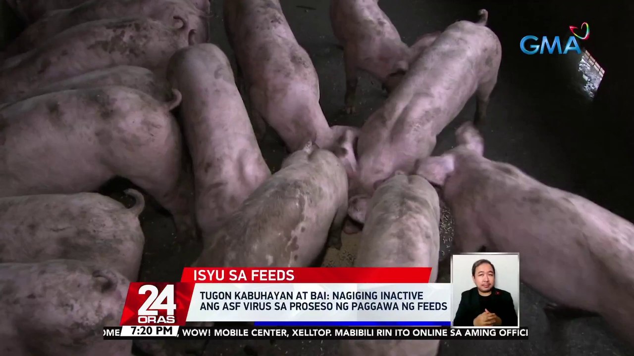 Pag-angkat ng processed animal proteins mula sa mga bansang apektado ng ASF, ikinabahala ng ilang local producer | 24 Oras