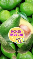 amazing fresh avocado|magic avocado fruit #satisfying #amazing #viral #food #youtubeshorts #trend