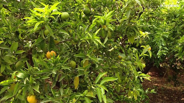 Энергетическая бедность в Испании