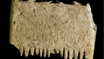 Une rare inscription en cananéen découverte sur un peigne à poux de 3700 ans