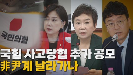 [나이트포커스] 국힘 사고당협 추가 공모非尹계 날라가나 / YTN