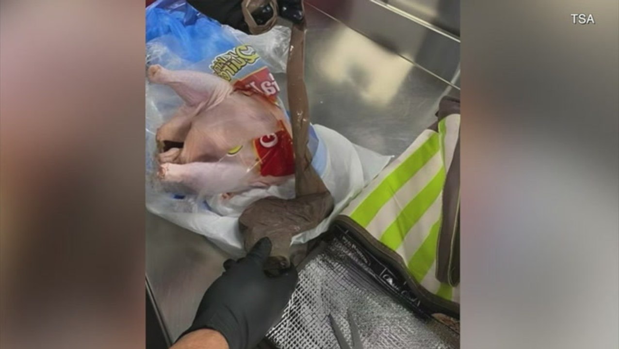 TSA agents at Florida airport find gun stuffed into raw chicken