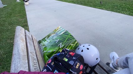 Stray Cat Climbs into Person's Bag