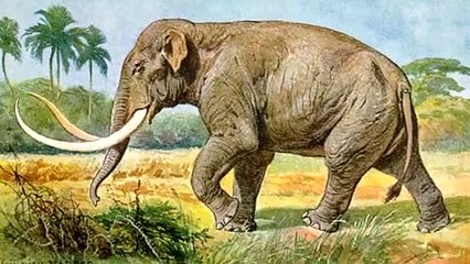 15 Most Deadly Animals That Are Extinct For Good