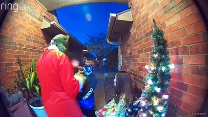 The Grinch's Antics Are Nothing For This Trick-Or-Treater