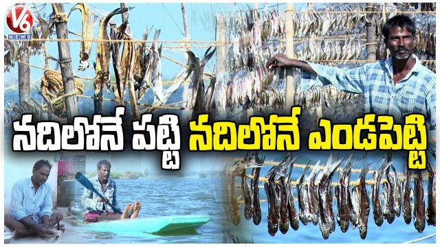 Life With River _ Fisherman Drying Fishes In River After Hunt | V6 News (3)