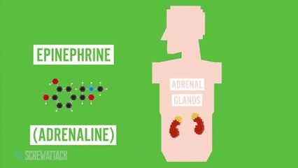 A Mesa do Death Battle Ep.084 - O poder da amizade (Legendado)