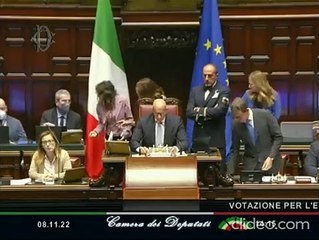 Camera, Rampelli e la battaglia contro l'inglese in Aula - Video