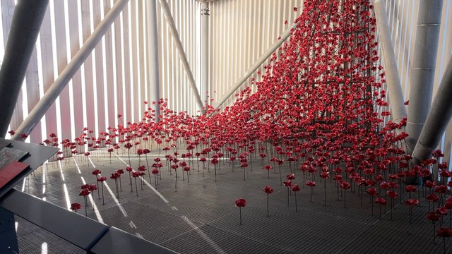 Remembrance Day: Poppy installation at the Imperial War Museum North