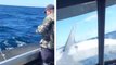Un énorme requin de deux mètres saute sur un bateau de pêcheurs, la vidéo est impressionnante