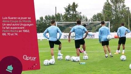 Qatar 2022 - Luis Suárez, un joueur à suivre