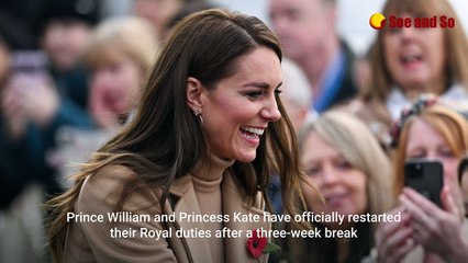 Why the British Royal family members are wearing poppy pins