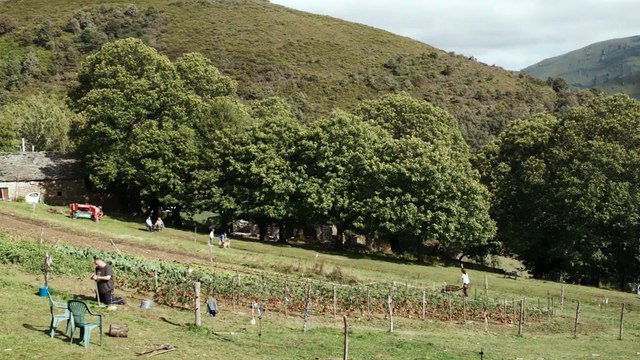 Sorogoyen regresa al cine con su película 'As bestas'