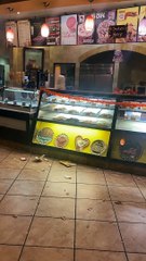 Bear Breaks Into Shop